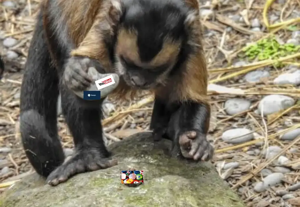 Ferramentas de aprendizado